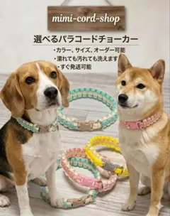 選べるパラコードチョーカー バックルタイプ(*^ᴗ^)