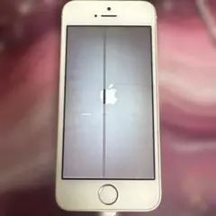 Apple iPhone 5s シルバー 本体［32GB］