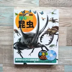 講談社の動く図鑑 MOVE ムーブ 昆虫 DVDなし