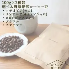 [自家焙煎コーヒー豆]選べる定番2種×100gコーヒー豆