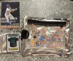 北海道日本ハムファイターズ 万波中正 クリアポーチトレカ レイヤーキーホルダー
