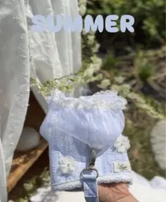 Item thumbnail for item f744cb0e-5b5c-461c-8f50-d48b3b8665e2