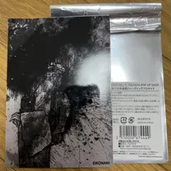 【値下げ不可】SILENTHILLf 雛子の手帳風ブロマイド　お姉さん（潤子）のサムネイル