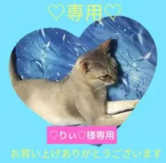 ★♡りぃ♡様専用★