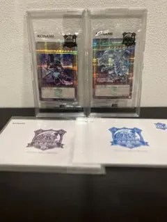 青眼の白龍 東京ドーム 開封