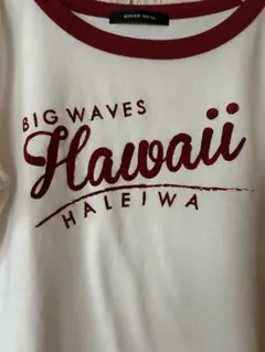 お値引き中♡HAWAII Tシャツ フリーサイズのサムネイル