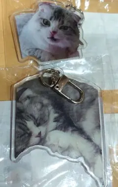猫 キーホルダー