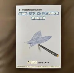 2026年最新】全国統一模擬試験解答解説書の人気アイテム - メルカリ