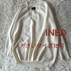 ♦︎美品イネド　大きいサイズ15号　バックボリュームニット