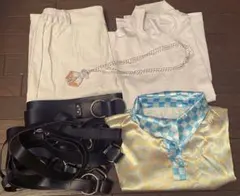 にじさんじ 緋八マナ コスプレ衣装