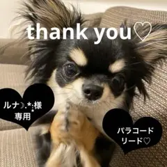 犬リード　♡カフェリード♡ パラコード　ハンドメイド