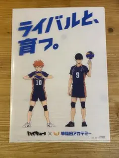 未使用品　早稲田アカデミー　ハイキュー！！　クリアファイル