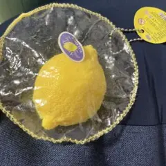スクイーズ　レモン　タバスクイーズ
