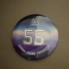 2026年最新】55谷口大智選手の人気アイテム - メルカリ