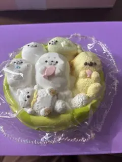アザラシ 集合 スクイーズ