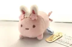 【新品】すみっコぐらしてのりぬいぐるみ　うさぎのおにわ　たぴおか♪