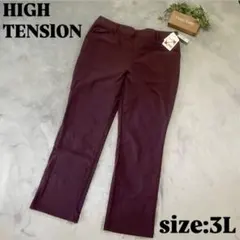 【HlGH TENSlON】ハイテンション（3L）裏起毛パンツ バーガンディ