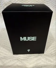 BTS JIMIN MUSE Paper Weight ジミン