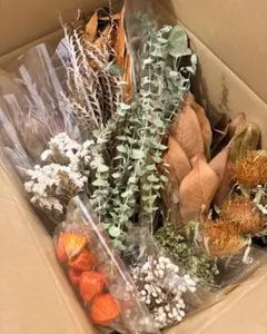 まこ様専用♦ドライフラワー アソートセット