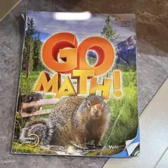 GO MATH! Houghton Mifflin Harcourt