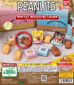 PEANUTS ビスケットミニチュアチャーム 丸缶チョコチップ