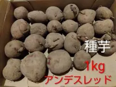 けんちゃん様 リクエスト 2点 まとめ商品