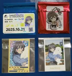 青春ブタ野郎八景島
