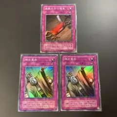 遊戯王 盗賊の七つ道具 王宮のお触れ 聖なるバリア-ミラーフォース