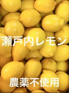 ①国産瀬戸内レモン1.2〜1.5Kgのサムネイル
