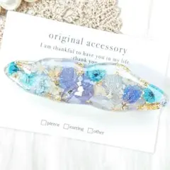 1841＊ハンドメイド♡押し花のヘアクリップ　ブルー
