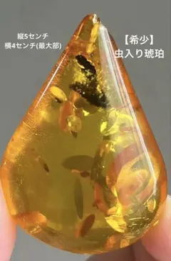 2026年最新】虫入り 琥珀の人気アイテム - メルカリ