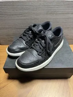 2026年最新】NIKE AIR JORDAN 1 low golf エア ジョーダンの人気