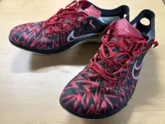 ナイキ　ズームストリーク　lt4 廃盤　限定カラー NIKE ズームストリークLT4 新品 27cm 廃盤 - メルカリ