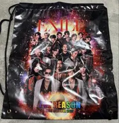 EXILE ライブグッズ ビニールバッグ
