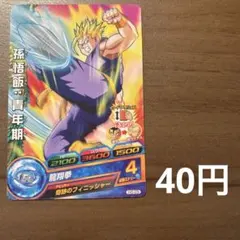 スーパードラゴンボールヒーローズ　孫悟飯:青年期　H6-29