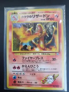 2026年最新】カツラのリザードンの人気アイテム - メルカリ
