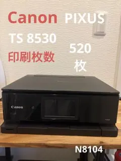 Canon TS8430 印刷枚数　980枚　　N8053 PIXUS-TS8430-010.jpg