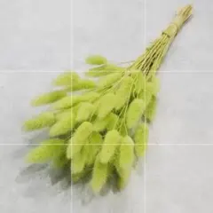 とと様 リクエスト 4点 まとめ商品