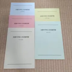 大師流小児鍼 谷岡賢徳論説集 2巻セット 大師流小児鍼 谷岡賢徳論説集 2巻セット - メルカリ