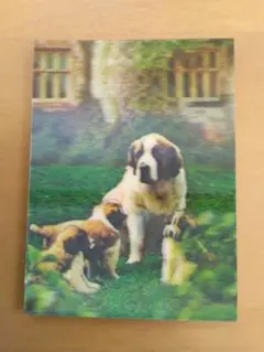 イヌ 犬 セントバーナード 明治製菓 おまけ カード 3D ワンちゃん