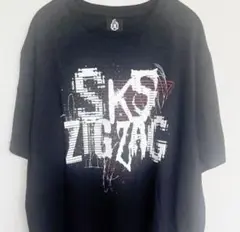真天地開闢集団ジグザグ 参拝者Tシャツ 半袖 定番 黒 - メルカリ
