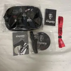 新品未開封】Lady Gaga 2026 VIP SILVER - メルカリ