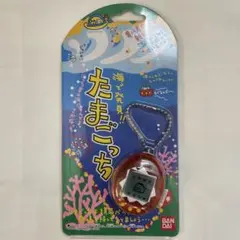 【未使用品】海で発見！！たまごっち クリアパープル 希少品 未使用品】海で発見！！たまごっち クリアパープル 希少品 未