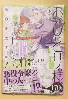 おひとり様には慣れましたので 3巻 未開封品 晴田巡 荒瀬ヤヒロ