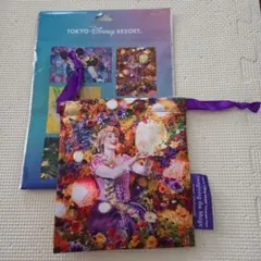 ディズニー イマジニングザマジック ラプンツェル 巾着☆