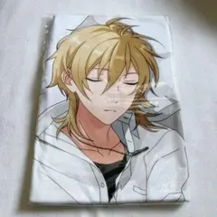 最遊記 三蔵 最遊記朗読劇 AGF限定 抱き枕カバー 新品未開封 レア 最遊記 三蔵 最遊記朗読劇 AGF限定 抱き枕カバー 新品未開封 レア
