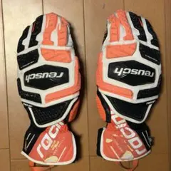 ロイッシュ ジュニア スキーグローブ トレーニングR-TEX XT&アーム