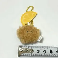 Item thumbnail for item 09149e37-5551-44af-b203-0b880c13b56f