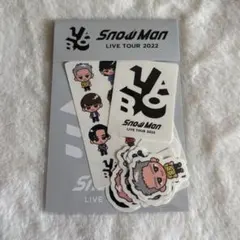 Snow Man LIVE TOUR 2022 LABO ステッカーセット