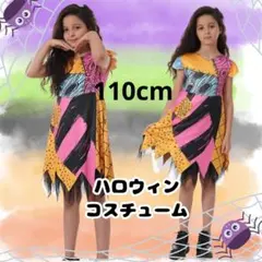 【限定価格】ナイトメア サリー ワンピース シアー パターン ※インナー付き 限定価格】ナイトメア サリー ワンピース シアー パターン